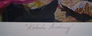 ピーターアンダーソン　peteranderson-ayersrock　Kakadu Awakenning （カカドゥーの目覚め）　絵画（シルクスクリーン）作品
